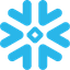 Snowflake logo
